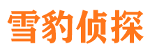 咸宁外遇调查取证